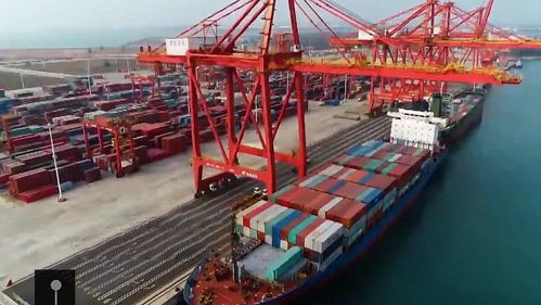 2021年海南注册进出口贸易公司指南 进出口权免税政策与电信增值业务解读